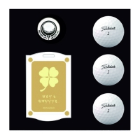 ŸƲƮ PRO V1 3 Ŀ ݳ ιٸ̽Ʈ | ˹ 