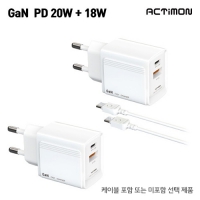 Ƽ  GAN PD20W 2(̺ )