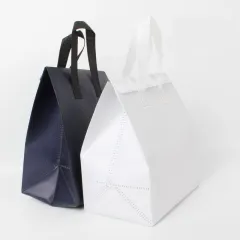 ��ȸ�� ���º��ù� �� �� ���� | ���˹� ����