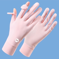 Ʈ ڿܼ  尩