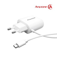 ִ C-TYPE   ANY-CA10W