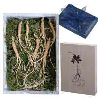 ȿõ ���� ����� 7��� 7�Ѹ� ������Ʈ | ���˹� ����