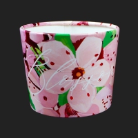 ν Ȧ (1ڽ 500) | ˹ 