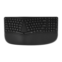 ̳Ʈ ü    ο Ű NK909RB | ˹ 