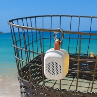 Ƽ ̴ ޴ Ƽ  Ŀ | ˹ 