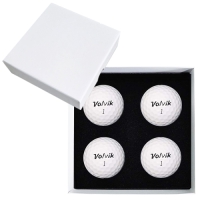 ���� V3 4�� ���� �ιٸ����̽� | ���˹� ����