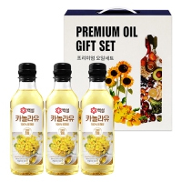 [2026 ��]�鼳 �����̾� ���ϼ�Ʈ 3P(ī�����500mlx3��) | ���˹� ����