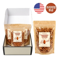 ����� ���� �Ƹ�� ������Ʈ | ���˹� ����