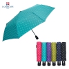 彺 3ڵƮ 3ڵ (55cm)