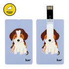 �������丮�� ī���� USB�޸� (4GB~128GB)