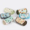 (Blossom) ������ �ʰ淮 ���ڸ� ��ũ�� ��Ʈ 1P