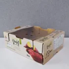 ��ǰ ����1