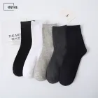 ��ǰ ����1