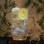 ��ǰ ����1