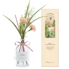 ��ǰ ����1