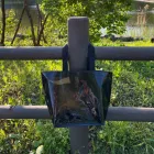 ��ǰ ����1