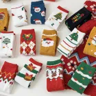 ��ǰ ����1