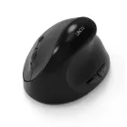 ��ǰ ����1