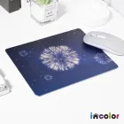 ��ǰ ����1