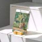 ��ǰ ����1