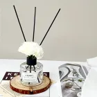 ��ǰ ����2