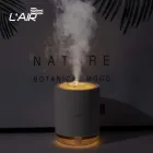 ��ǰ ����2