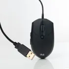 ��ǰ ����2