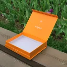��ǰ ����2