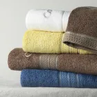 ��ǰ ����2