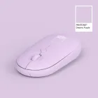 ��ǰ ����2