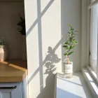 ��ǰ ����2