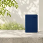 ��ǰ ����2