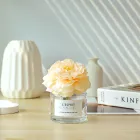 ��ǰ ����2