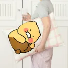 ��ǰ ����2