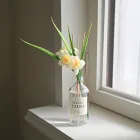 ��ǰ ����2