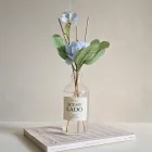 ��ǰ ����2