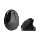 ��ǰ ����2