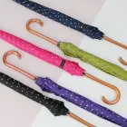 ��ǰ ����2