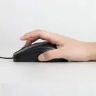 ��ǰ ����2
