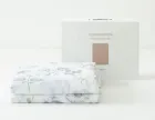 ��ǰ ����2