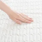 ��ǰ ����2