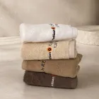 ��ǰ ����2