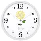 ��ǰ ����3