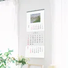 ��ǰ ����3