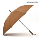 ��ǰ ����3