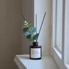 ��ǰ ����3