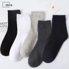 ��ǰ ����3