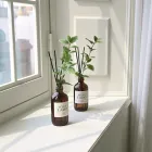 ��ǰ ����3