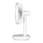 ��ǰ ����3