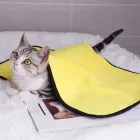 ��ǰ ����3